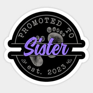 Promoted to Sister Sticker